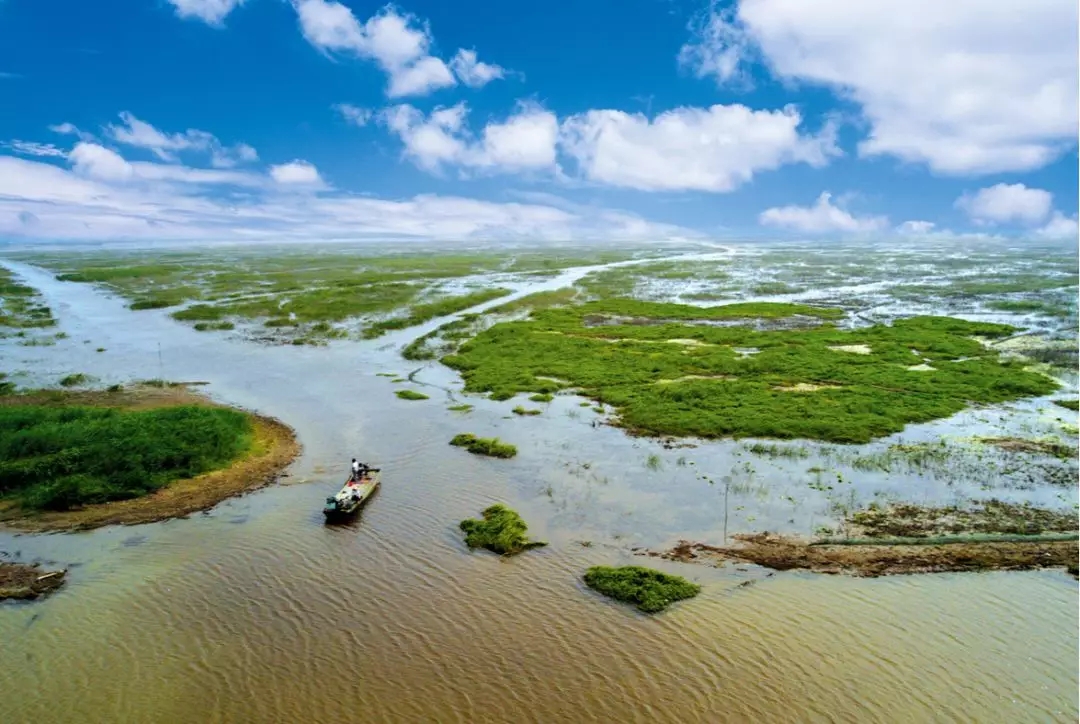 泗洪洪泽湖湿地